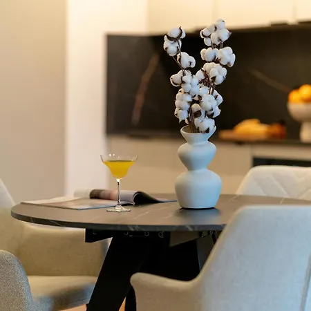 Stylish & Elegant With Parking & Balcony With View Remote Work By Renters Apartament